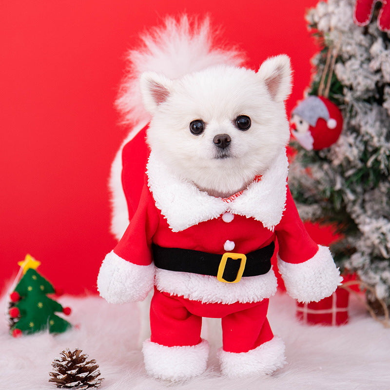 Santa Paws Cozy Christmas Costume