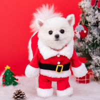 Santa Paws Cozy Christmas Costume