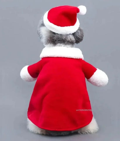 Santa Paws Cozy Christmas Costume™
