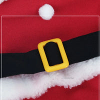 Santa Paws Cozy Christmas Costume™