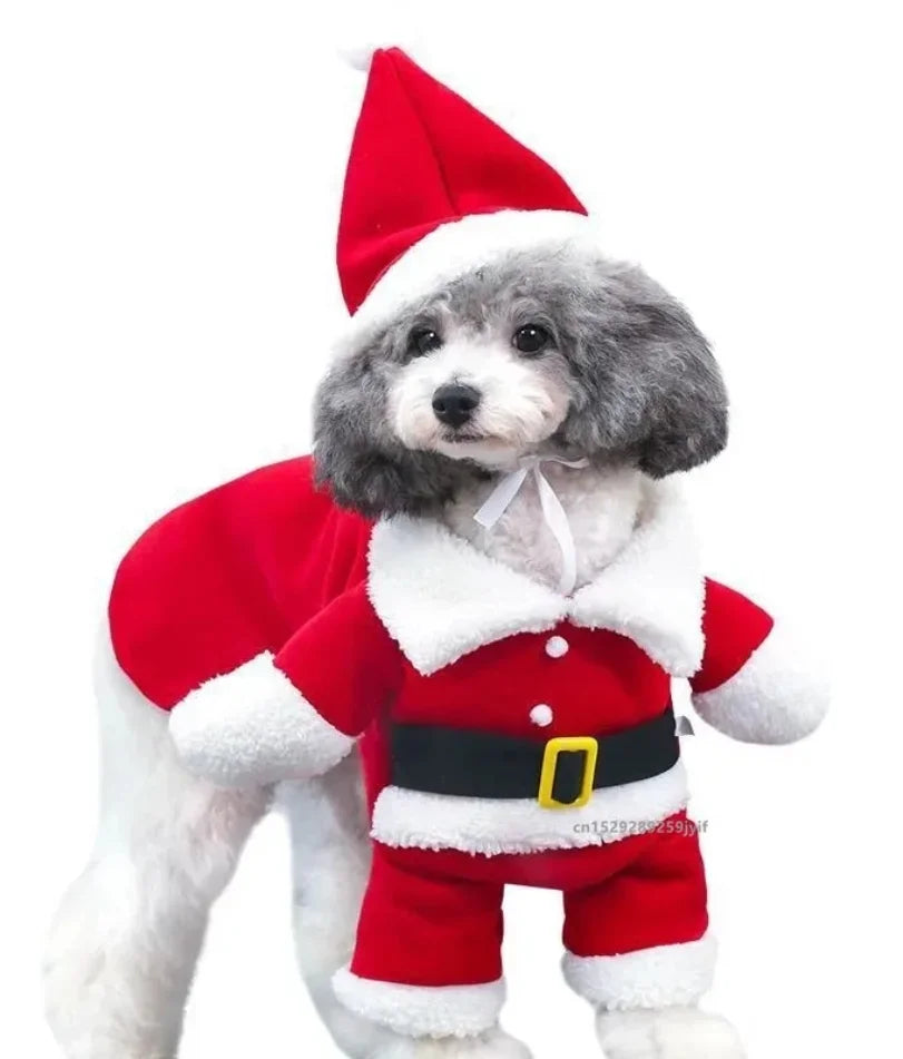 Santa Paws Cozy Christmas Costume™