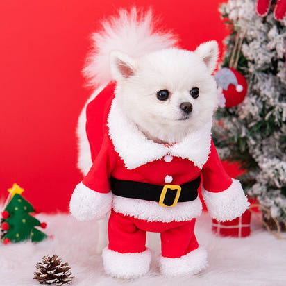 Santa Paws Cozy Christmas Costume